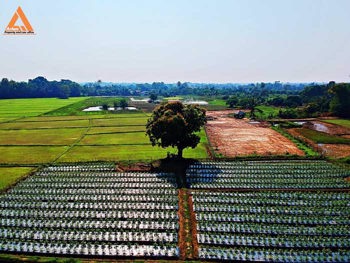 ขายที่ดิน-หลังปั๊มน้ำมัน-ปตท-น้ำแพร่-เส้นคันคลอง-เชียงใหม่