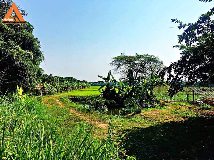 ขายที่ดิน-หลังปั๊มน้ำมัน-ปตท-น้ำแพร่-เส้นคันคลอง-เชียงใหม่