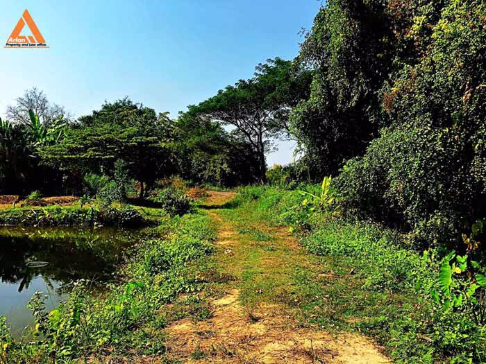 ขายที่ดิน-หลังปั๊มน้ำมัน-ปตท-น้ำแพร่-เส้นคันคลอง-เชียงใหม่