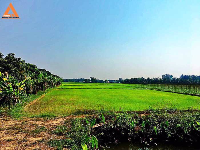 ขายที่ดิน-หลังปั๊มน้ำมัน-ปตท-น้ำแพร่-เส้นคันคลอง-เชียงใหม่