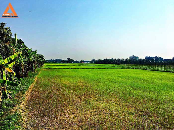 ขายที่ดิน-หลังปั๊มน้ำมัน-ปตท-น้ำแพร่-เส้นคันคลอง-เชียงใหม่