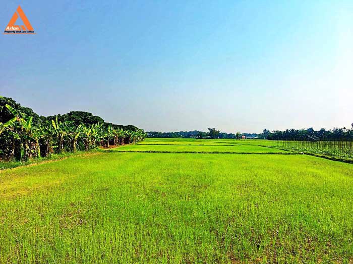 ขายที่ดิน-หลังปั๊มน้ำมัน-ปตท-น้ำแพร่-เส้นคันคลอง-เชียงใหม่