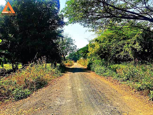 ขายที่ดิน-หลังปั๊มน้ำมัน-ปตท-น้ำแพร่-เส้นคันคลอง-เชียงใหม่