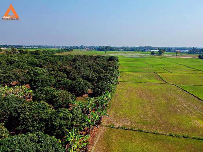 ขายที่ดิน-หลังปั๊มน้ำมัน-ปตท-น้ำแพร่-เส้นคันคลอง-เชียงใหม่