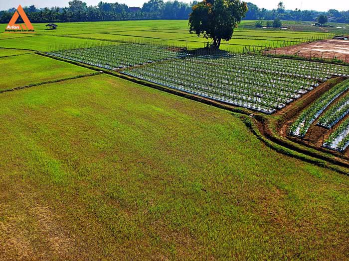 ขายที่ดิน-หลังปั๊มน้ำมัน-ปตท-น้ำแพร่-เส้นคันคลอง-เชียงใหม่