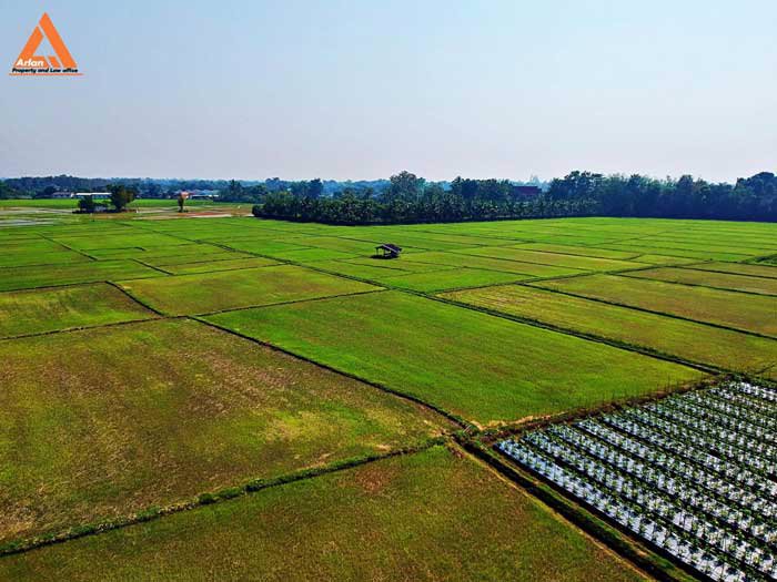 ขายที่ดิน-หลังปั๊มน้ำมัน-ปตท-น้ำแพร่-เส้นคันคลอง-เชียงใหม่