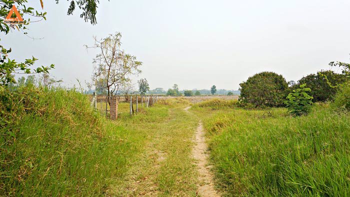 ขายที่นา-พร้อมสวนลำไย-ตำบลบ้านแหวน-อำเภอหางดง-เชียงใหม่