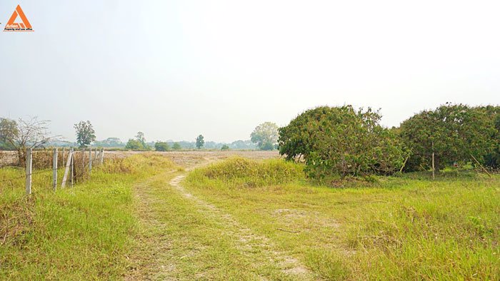 ขายที่นา-พร้อมสวนลำไย-ตำบลบ้านแหวน-อำเภอหางดง-เชียงใหม่