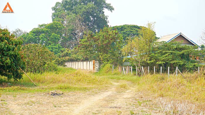 ขายที่นา-พร้อมสวนลำไย-ตำบลบ้านแหวน-อำเภอหางดง-เชียงใหม่