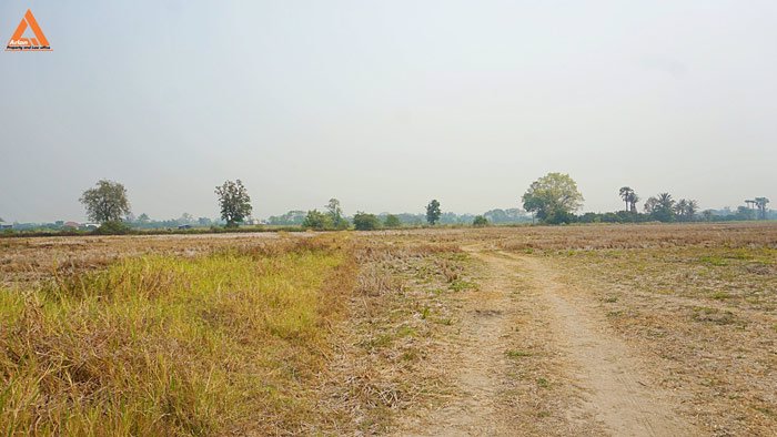 ขายที่นา-พร้อมสวนลำไย-ตำบลบ้านแหวน-อำเภอหางดง-เชียงใหม่