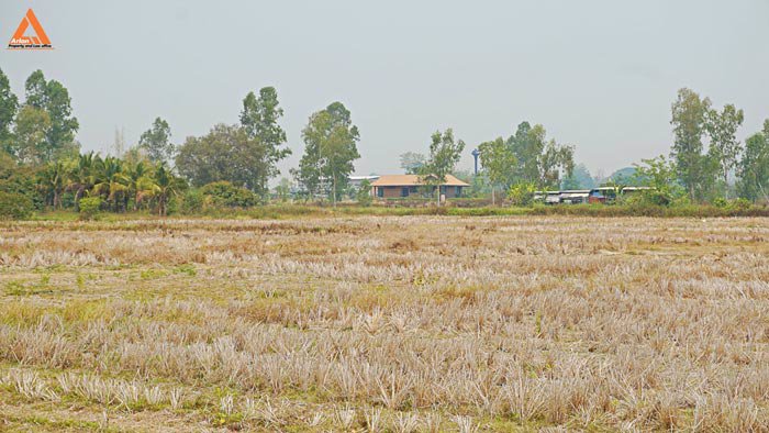 ขายที่นา-พร้อมสวนลำไย-ตำบลบ้านแหวน-อำเภอหางดง-เชียงใหม่