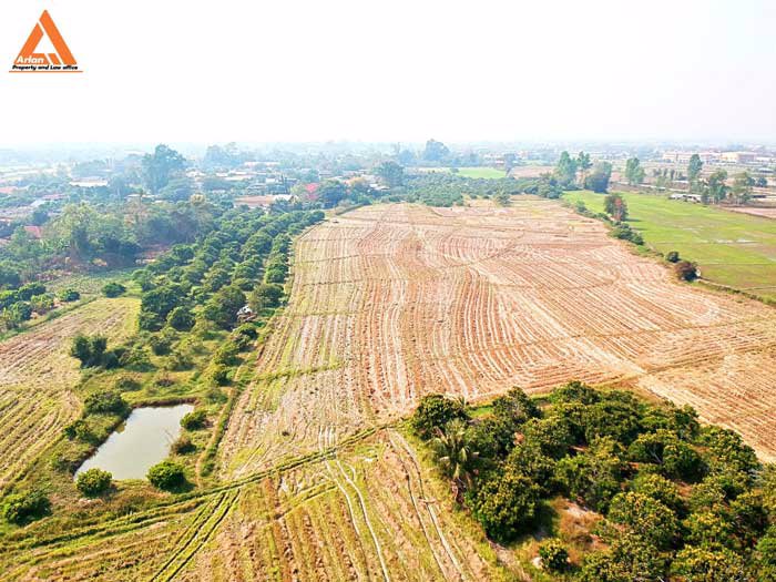 ขายที่นา-พร้อมสวนลำไย-ตำบลบ้านแหวน-อำเภอหางดง-เชียงใหม่