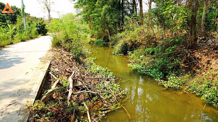 ขายที่ดินสวนลำไย-ตำบลสบแม่ข่า-หางดง-เชียงใหม่-ใกล้กับบ้านแหวน