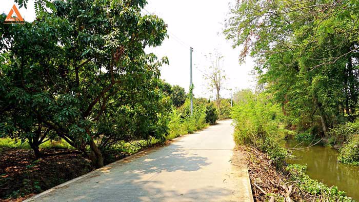 ขายที่ดินสวนลำไย-ตำบลสบแม่ข่า-หางดง-เชียงใหม่-ใกล้กับบ้านแหวน