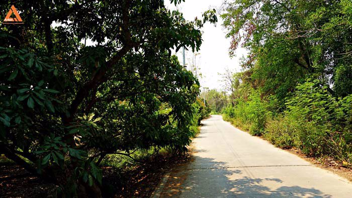 ขายที่ดินสวนลำไย-ตำบลสบแม่ข่า-หางดง-เชียงใหม่-ใกล้กับบ้านแหวน