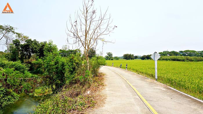 ขายที่ดินสวนลำไย-ตำบลสบแม่ข่า-หางดง-เชียงใหม่-ใกล้กับบ้านแหวน