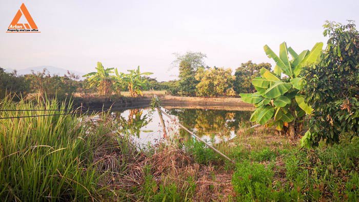 ขายที่ดินสวนลำใย-แม่กุ้งหลวง-ทุ่งต้อม-สันป่าตอง-เชียงใหม่-ใกล้แหล่งชุมชน