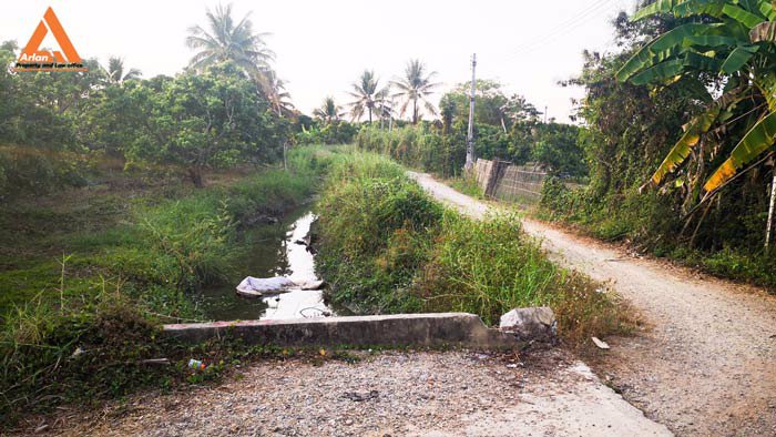 ขายที่ดินสวนลำใย-แม่กุ้งหลวง-ทุ่งต้อม-สันป่าตอง-เชียงใหม่-ใกล้แหล่งชุมชน