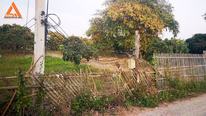 ขายที่ดินสวนลำใย-แม่กุ้งหลวง-ทุ่งต้อม-สันป่าตอง-เชียงใหม่-ใกล้แหล่งชุมชน