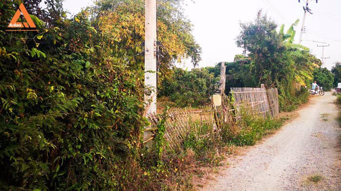 ขายที่ดินสวนลำใย-แม่กุ้งหลวง-ทุ่งต้อม-สันป่าตอง-เชียงใหม่-ใกล้แหล่งชุมชน