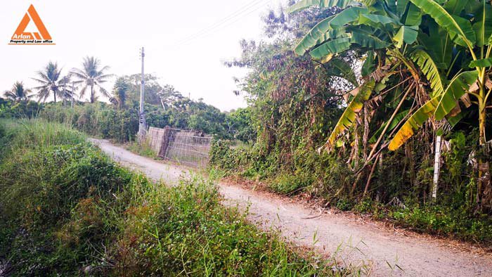 ขายที่ดินสวนลำใย-แม่กุ้งหลวง-ทุ่งต้อม-สันป่าตอง-เชียงใหม่-ใกล้แหล่งชุมชน