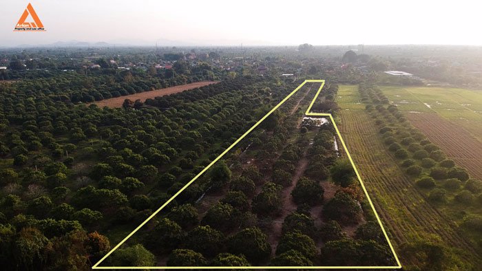 ขายที่ดินสวนลำใย-แม่กุ้งหลวง-ทุ่งต้อม-สันป่าตอง-เชียงใหม่-ใกล้แหล่งชุมชน