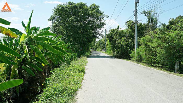 ขายที่นา-ตำบลป่าบง-อำเภอสารภี-สันกำแพงสายใหม่