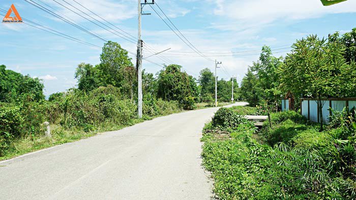 ขายที่นา-ตำบลป่าบง-อำเภอสารภี-สันกำแพงสายใหม่