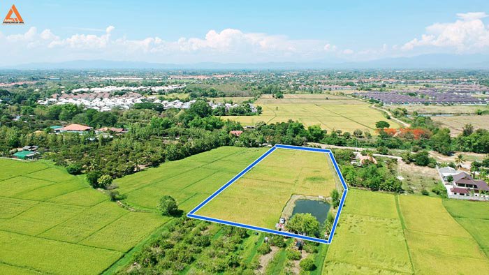 ขายที่นา-ตำบลป่าบง-อำเภอสารภี-สันกำแพงสายใหม่