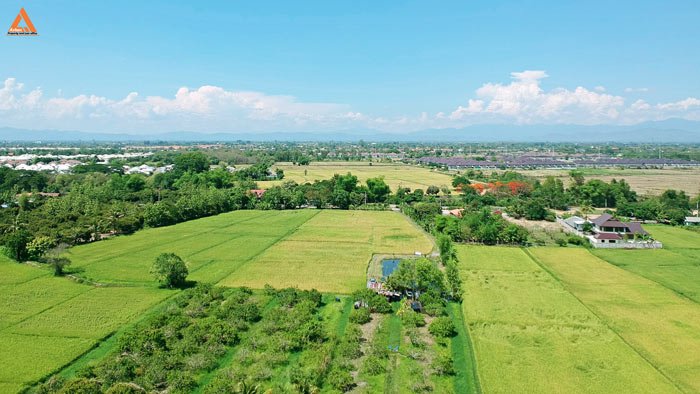 ขายที่นา-ตำบลป่าบง-อำเภอสารภี-สันกำแพงสายใหม่