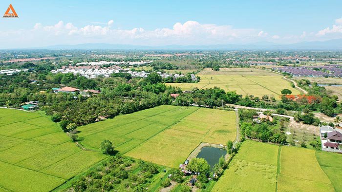 ขายที่นา-ตำบลป่าบง-อำเภอสารภี-สันกำแพงสายใหม่