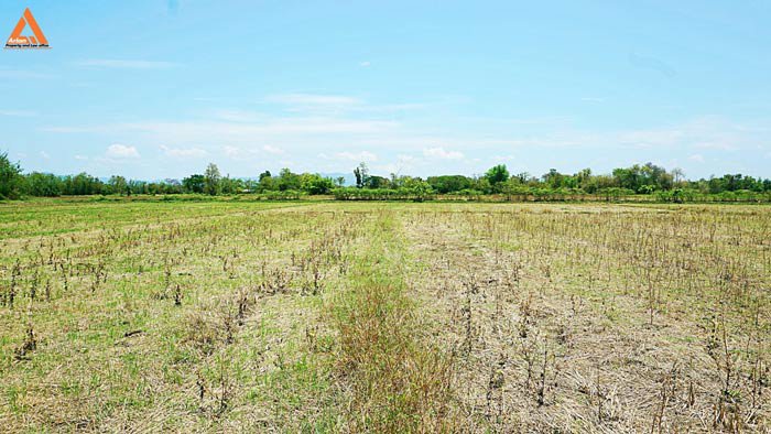 ขายที่ดินสันกำแพงสายเก่า-ผังเมืองสีเหลือง-ตำบลสันกำแพง-อำเภอสันกำแพง-เชียงใหม่