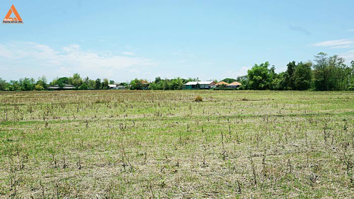 ขายที่ดินสันกำแพงสายเก่า-ผังเมืองสีเหลือง-ตำบลสันกำแพง-อำเภอสันกำแพง-เชียงใหม่