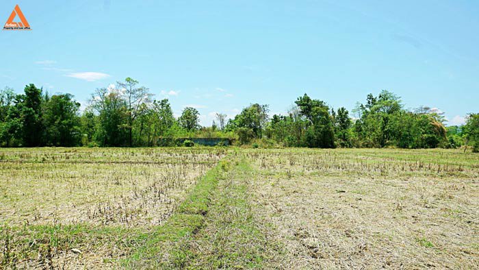 ขายที่ดินสันกำแพงสายเก่า-ผังเมืองสีเหลือง-ตำบลสันกำแพง-อำเภอสันกำแพง-เชียงใหม่