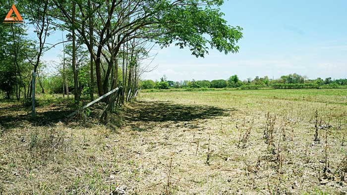 ขายที่ดินสันกำแพงสายเก่า-ผังเมืองสีเหลือง-ตำบลสันกำแพง-อำเภอสันกำแพง-เชียงใหม่