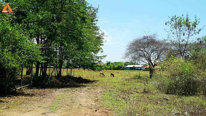 ขายที่ดินสันกำแพงสายเก่า-ผังเมืองสีเหลือง-ตำบลสันกำแพง-อำเภอสันกำแพง-เชียงใหม่