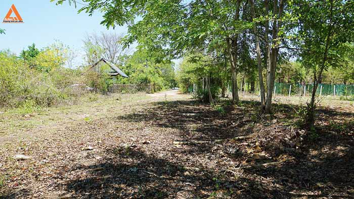 ขายที่ดินสันกำแพงสายเก่า-ผังเมืองสีเหลือง-ตำบลสันกำแพง-อำเภอสันกำแพง-เชียงใหม่