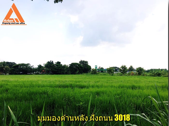 ขายที่ดิน-ติดถนนทางหลวง-108-อดอยหล่อ-จเชียงใหม่-ติดถนน-2-ด้าน-ราคาถูกสุดในย่านนี้