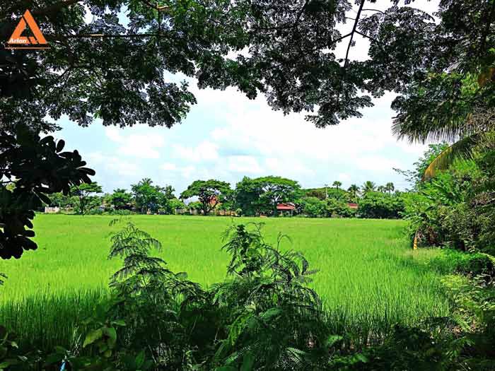 ขายที่ดิน-ติดถนนทางหลวง-108-อดอยหล่อ-จเชียงใหม่-ติดถนน-2-ด้าน-ราคาถูกสุดในย่านนี้