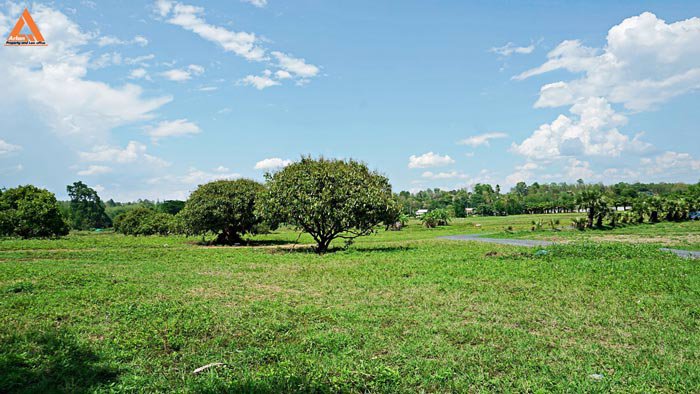 ขายที่ดินเนินเขา-วิวดอย-ทิวทัศน์ทุ่งนา-ตำบลสะลวง-อำเภอแม่ริม-เชียงใหม่