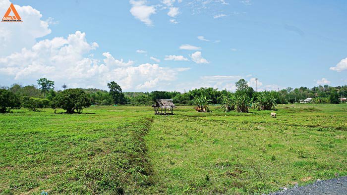 ขายที่ดินเนินเขา-วิวดอย-ทิวทัศน์ทุ่งนา-ตำบลสะลวง-อำเภอแม่ริม-เชียงใหม่