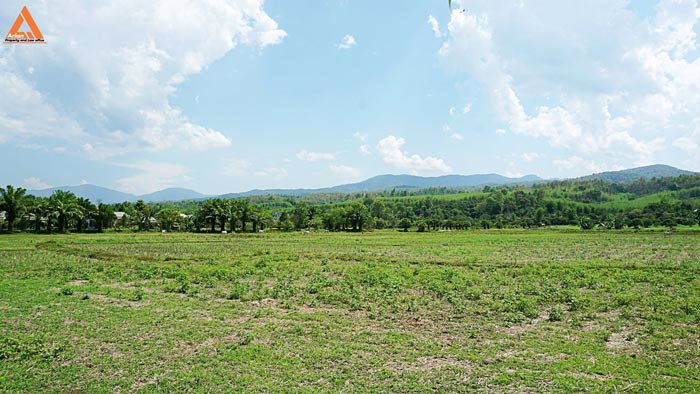 ขายที่ดินเนินเขา-วิวดอย-ทิวทัศน์ทุ่งนา-ตำบลสะลวง-อำเภอแม่ริม-เชียงใหม่