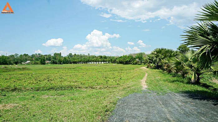 ขายที่ดินเนินเขา-วิวดอย-ทิวทัศน์ทุ่งนา-ตำบลสะลวง-อำเภอแม่ริม-เชียงใหม่