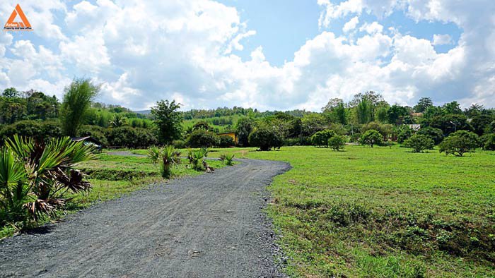 ขายที่ดินเนินเขา-วิวดอย-ทิวทัศน์ทุ่งนา-ตำบลสะลวง-อำเภอแม่ริม-เชียงใหม่