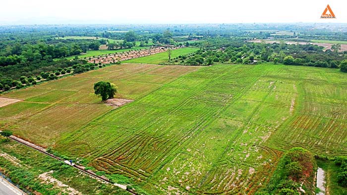 ขายที่นา-ตำบลหนองแก๋ว-อำเภอหางดง-เชียงใหม่-ใกล้ชุมชน-น้ำชลประทานสมบูรณ์