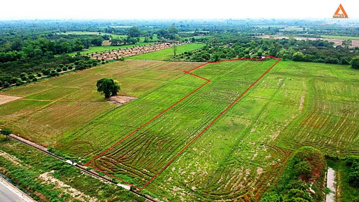 ขายที่นา-ตำบลหนองแก๋ว-อำเภอหางดง-เชียงใหม่-ใกล้ชุมชน-น้ำชลประทานสมบูรณ์