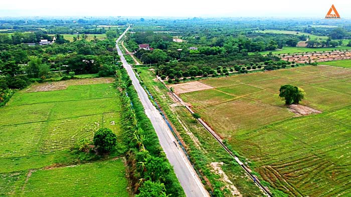 ขายที่นา-ตำบลหนองแก๋ว-อำเภอหางดง-เชียงใหม่-ใกล้ชุมชน-น้ำชลประทานสมบูรณ์