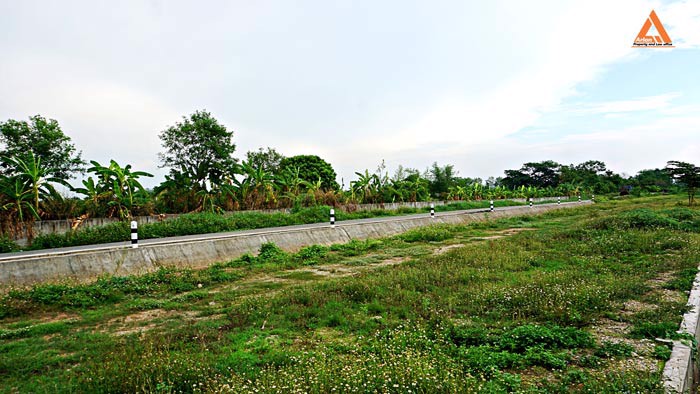 ขายที่นา-ตำบลหนองแก๋ว-อำเภอหางดง-เชียงใหม่-ใกล้ชุมชน-น้ำชลประทานสมบูรณ์