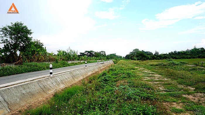 ขายที่นา-ตำบลหนองแก๋ว-อำเภอหางดง-เชียงใหม่-ใกล้ชุมชน-น้ำชลประทานสมบูรณ์