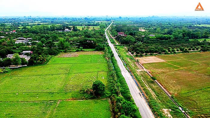 ขายที่นา-ตำบลหนองแก๋ว-อำเภอหางดง-เชียงใหม่-ใกล้ชุมชน-น้ำชลประทานสมบูรณ์